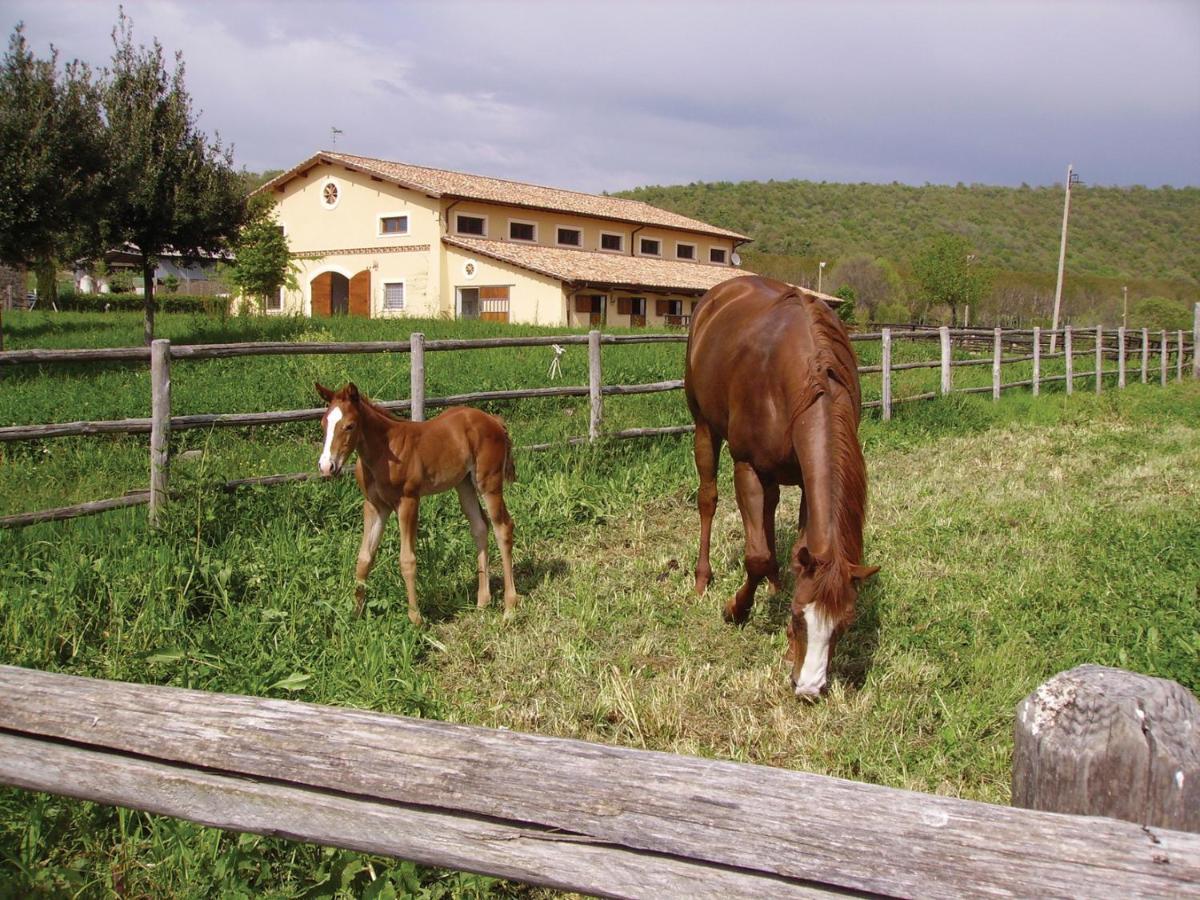 Agriturismo Potrero Grande Sul Lago Di Martignano Con Spiaggia Campagnano Di Roma Luaran gambar