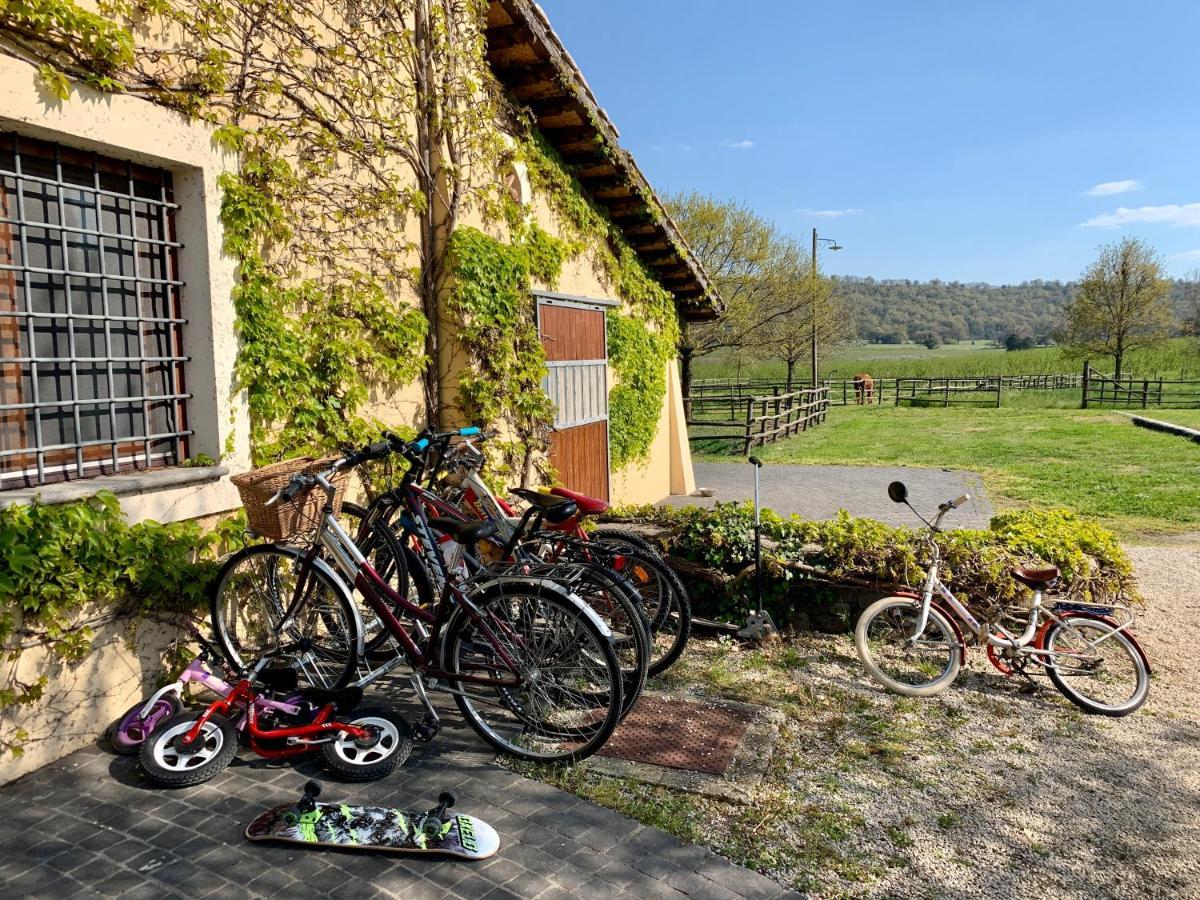 Agriturismo Potrero Grande Sul Lago Di Martignano Con Spiaggia Campagnano Di Roma Luaran gambar
