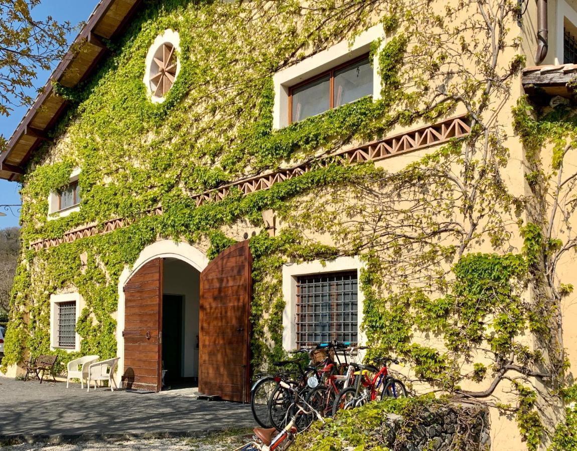 Agriturismo Potrero Grande Sul Lago Di Martignano Con Spiaggia Campagnano Di Roma Luaran gambar
