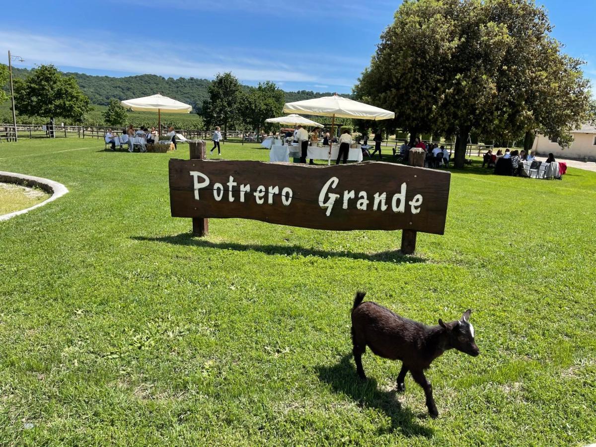 Agriturismo Potrero Grande Sul Lago Di Martignano Con Spiaggia Campagnano Di Roma Luaran gambar