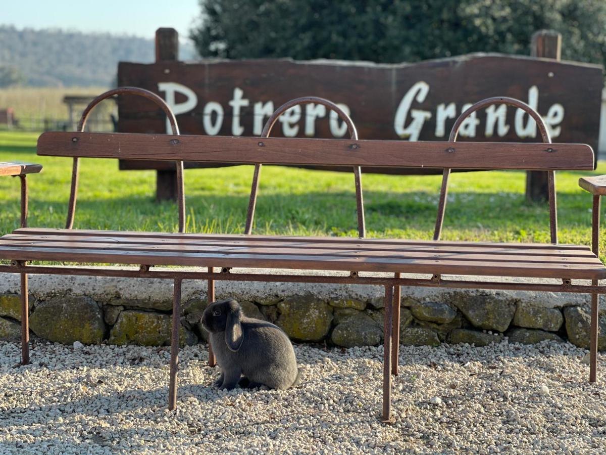 Agriturismo Potrero Grande Sul Lago Di Martignano Con Spiaggia Campagnano Di Roma Luaran gambar