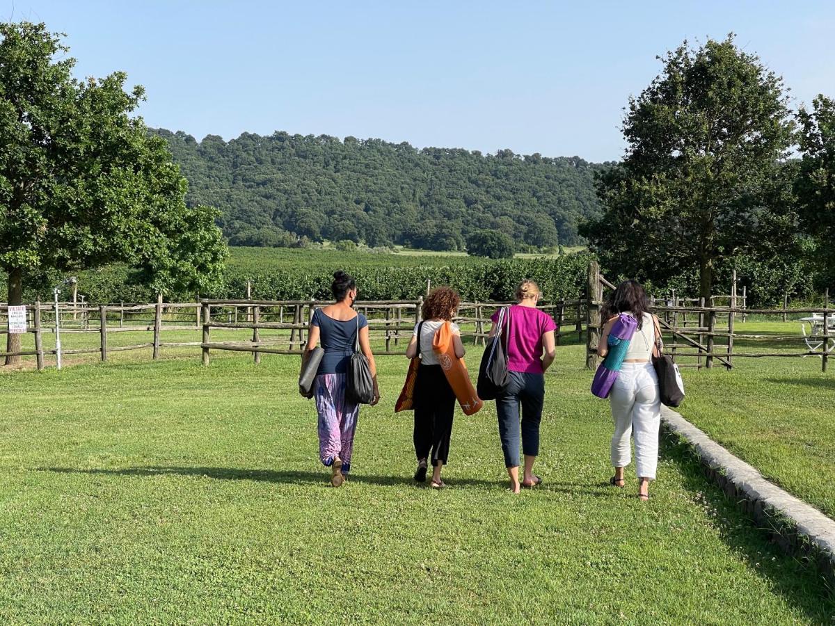 Agriturismo Potrero Grande Sul Lago Di Martignano Con Spiaggia Campagnano Di Roma Luaran gambar