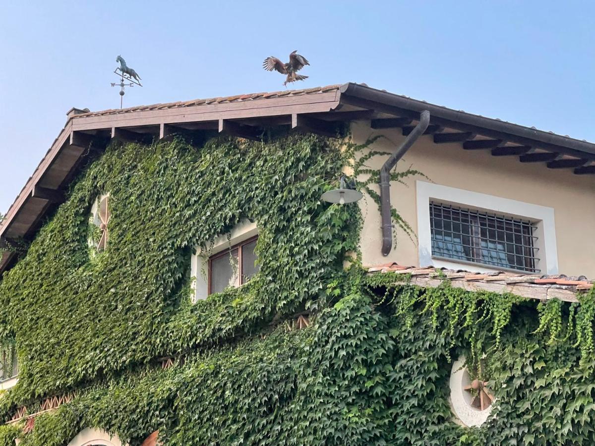 Agriturismo Potrero Grande Sul Lago Di Martignano Con Spiaggia Campagnano Di Roma Luaran gambar