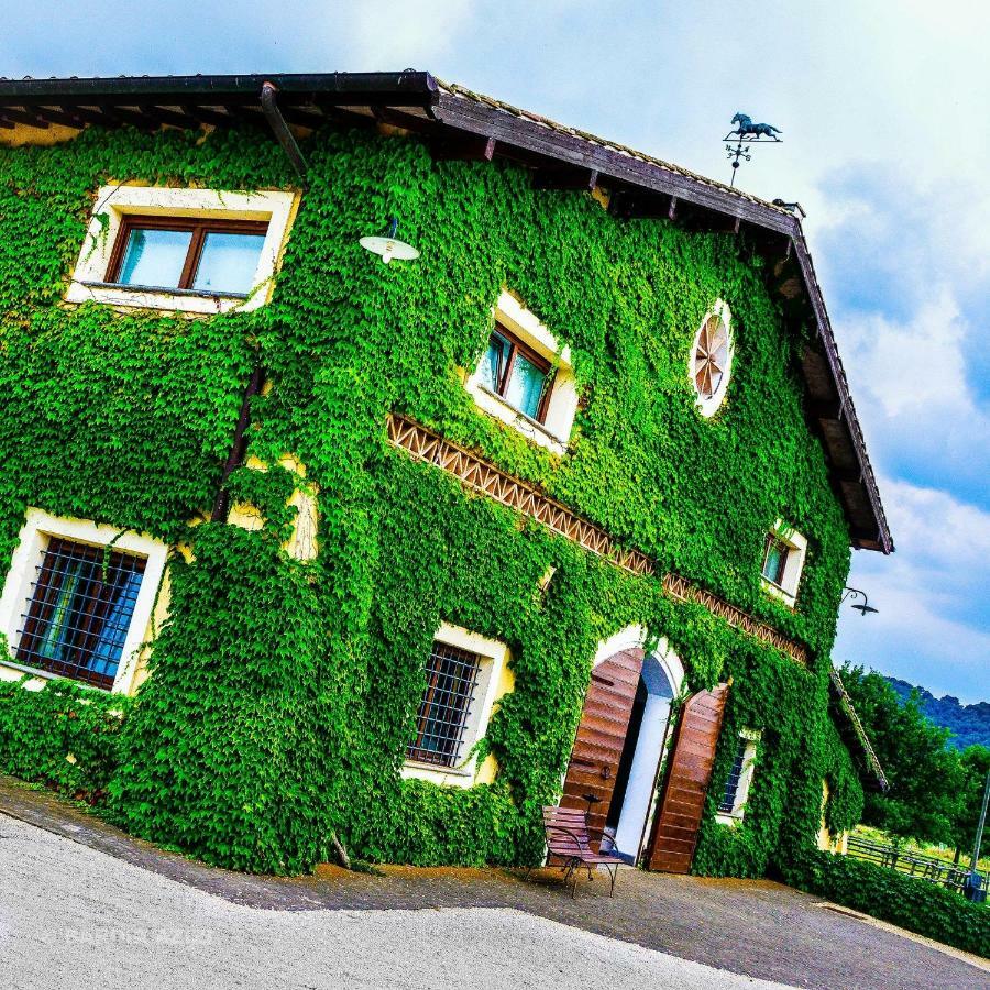 Agriturismo Potrero Grande Sul Lago Di Martignano Con Spiaggia Campagnano Di Roma Luaran gambar