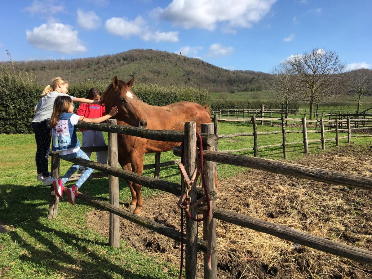 Agriturismo Potrero Grande Sul Lago Di Martignano Con Spiaggia Campagnano Di Roma Luaran gambar